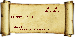 Ludas Lili névjegykártya